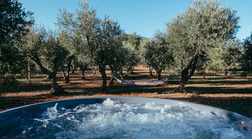 Photo of Southern Grace