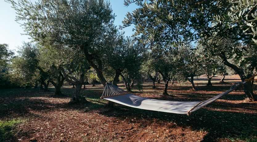 Photo of Southern Grace