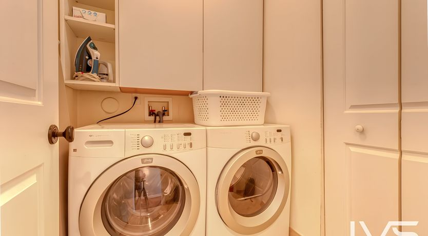 Photo of Coral White