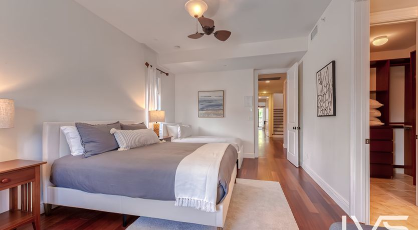 Photo of Coral White