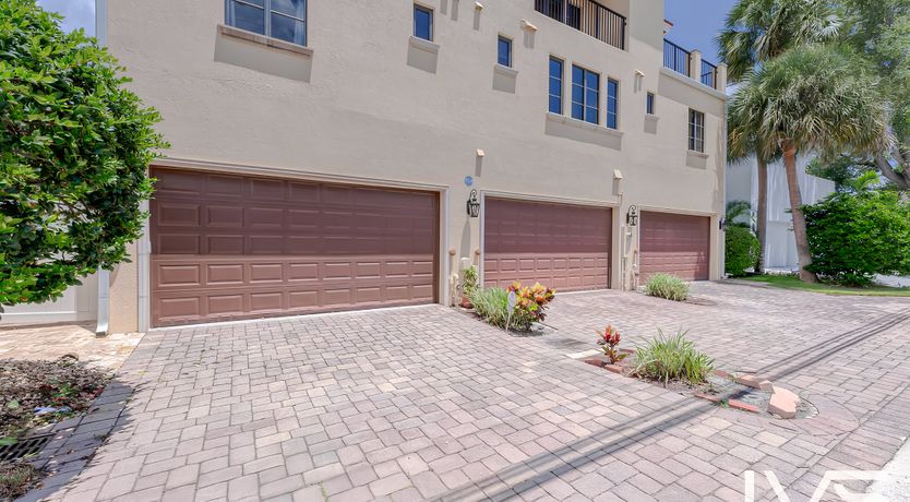 Photo of Coral White