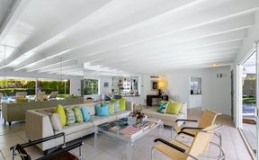 Photo of Palms & Citrus