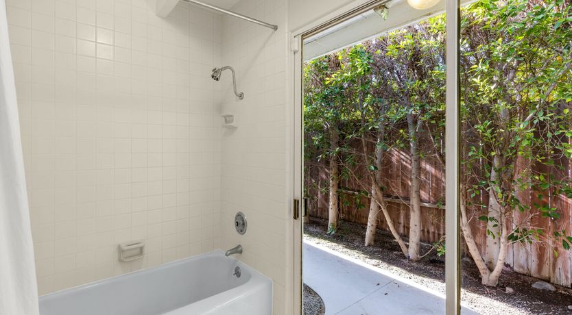 Photo of Palms & Citrus