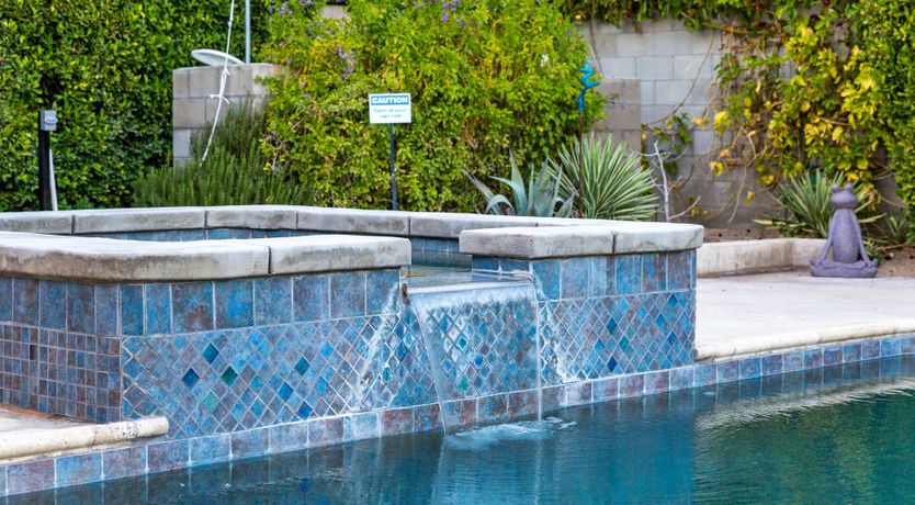 Photo of PalmParadise