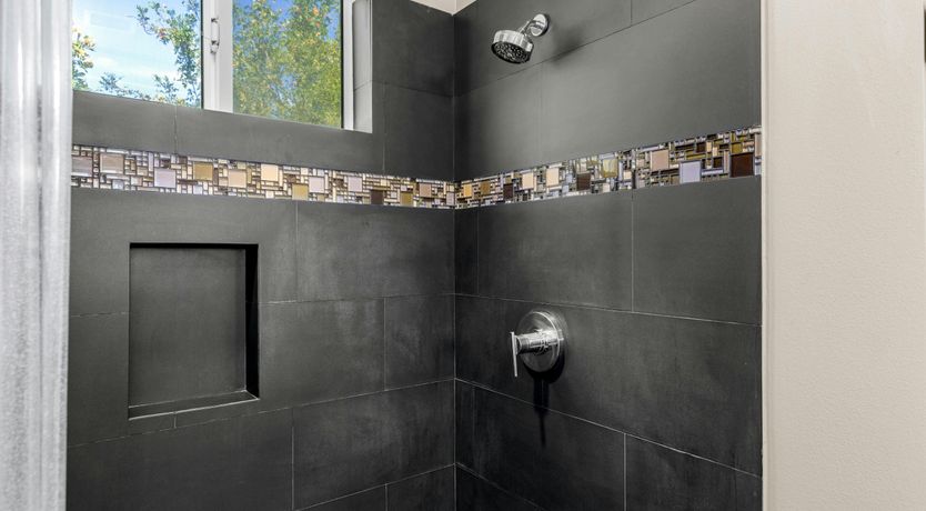 Photo of Desert Flamingo