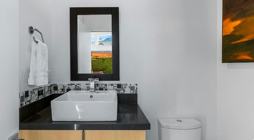 Photo of Desert Flamingo