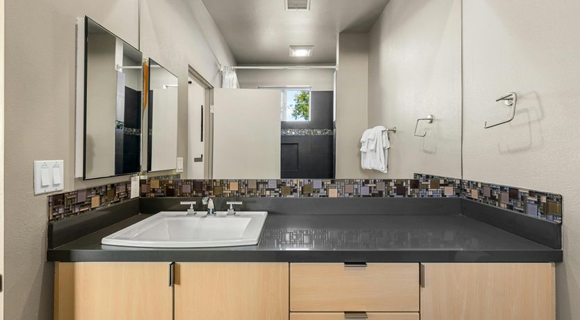 Photo of Desert Flamingo