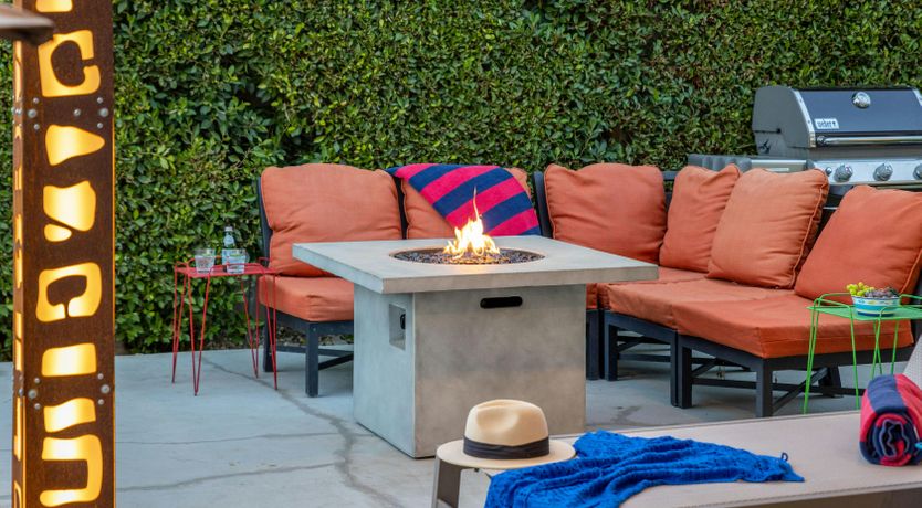 Photo of Desert Flamingo