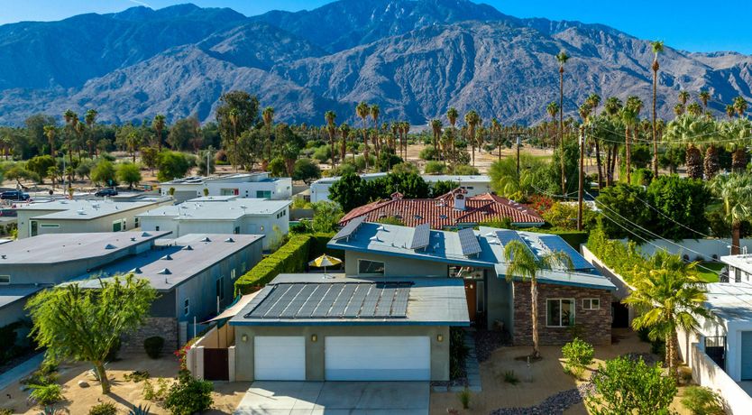 Photo of Desert Flamingo