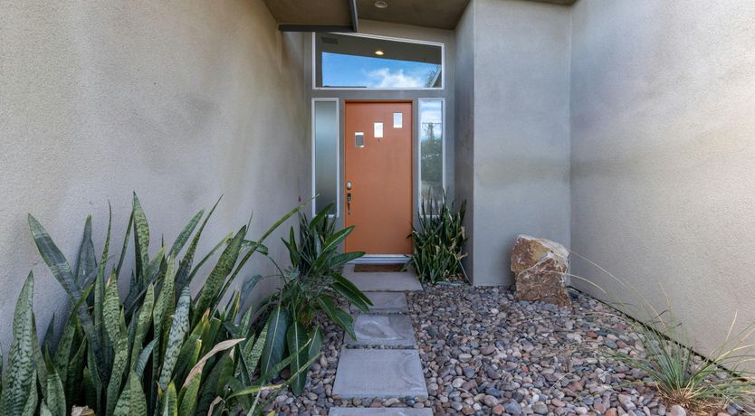 Photo of Desert Flamingo