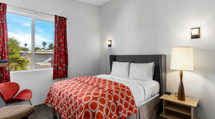 Photo of Desert Flamingo