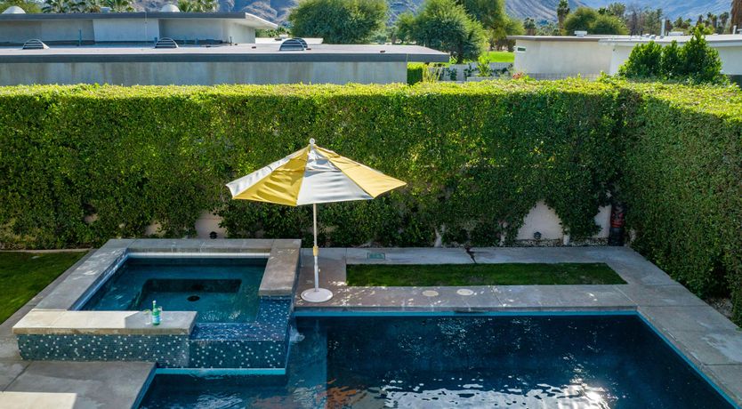 Photo of Desert Flamingo