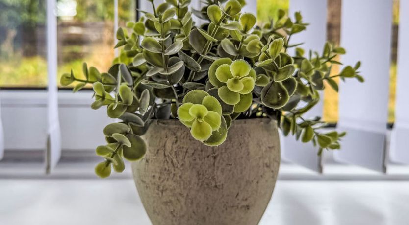 Photo of Gordonstoun Cottage