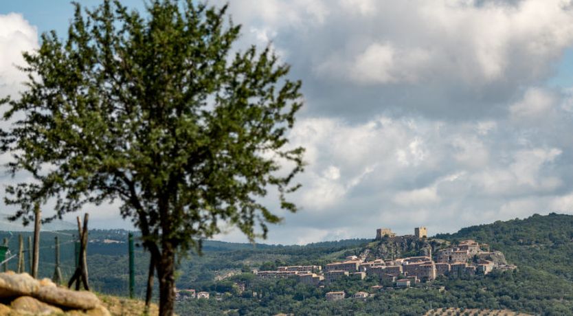 Photo of Poggio Piero 3