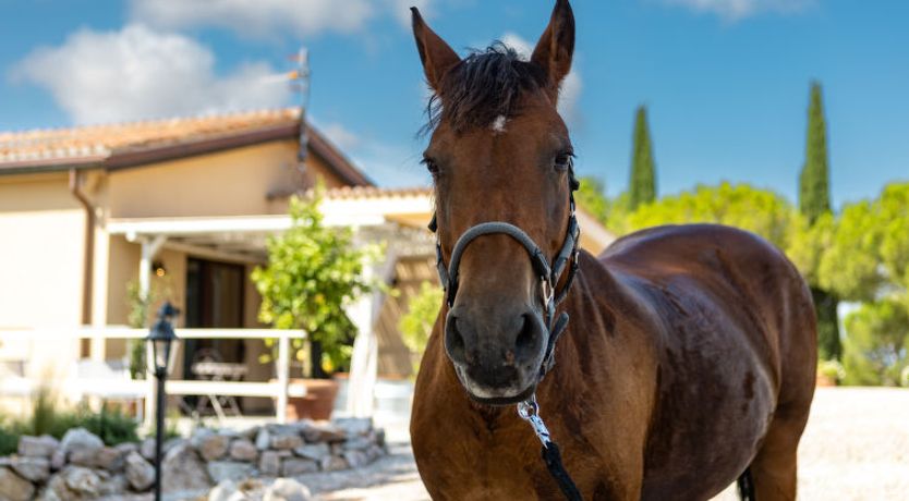 Photo of Poggio Piero 2 Holiday Home 2