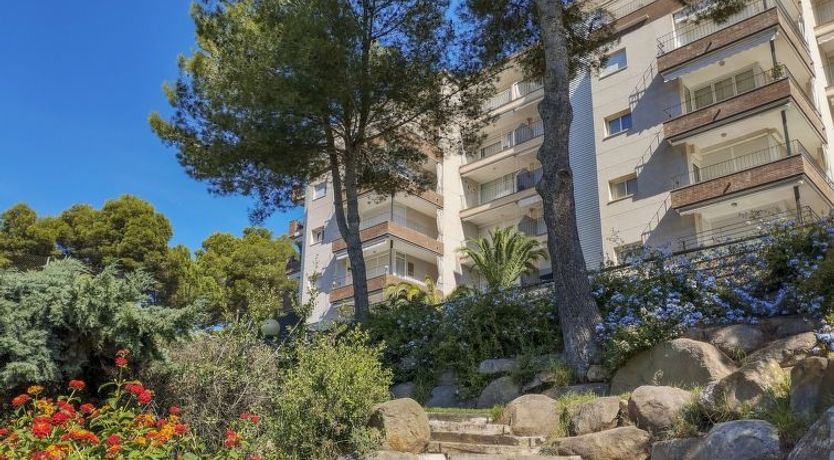 Photo of Sol Pins Tamariu