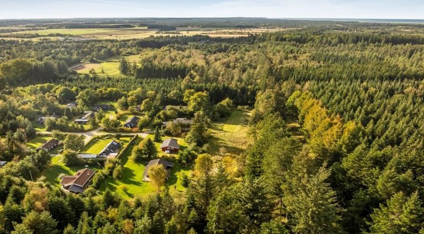 Photo of "Inola" - 3.5km from the sea