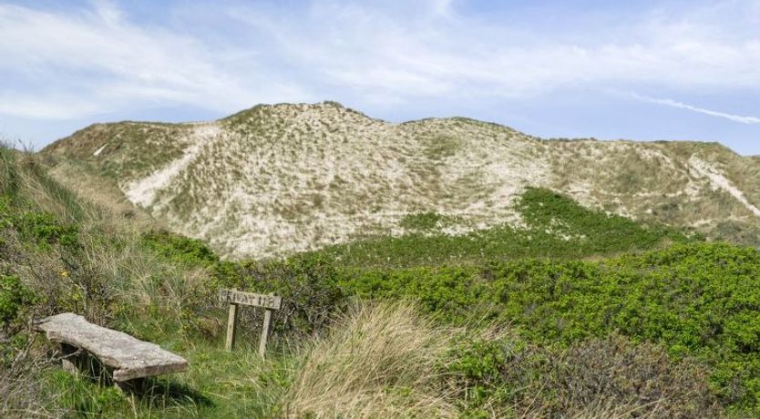 Photo of "Ejnarine" - 300m from the sea