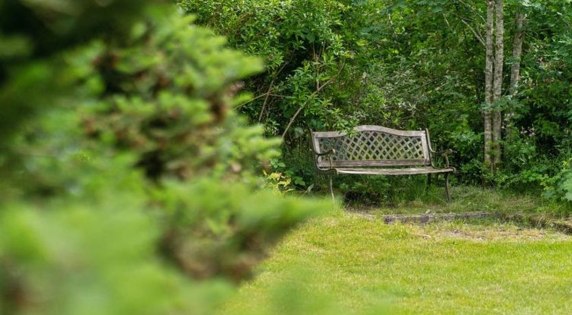 Photo of "Agnita" - 8km from the sea