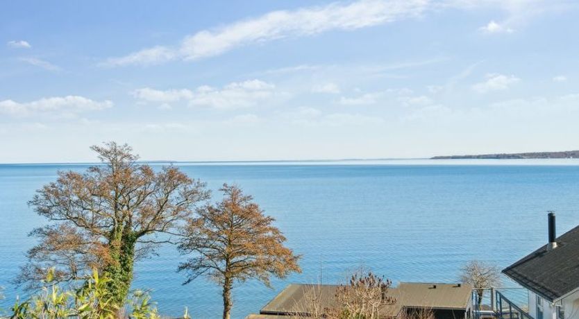 Photo of "Gesine" - 50m to the fjord