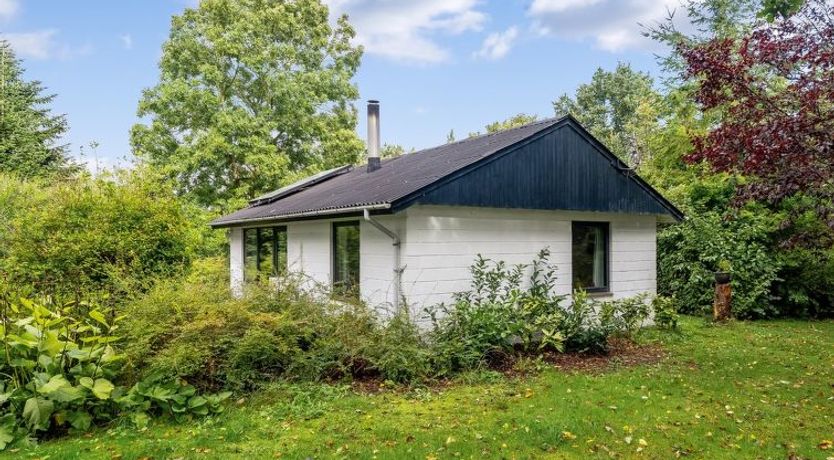 Photo of "Velika" - 300m to the fjord