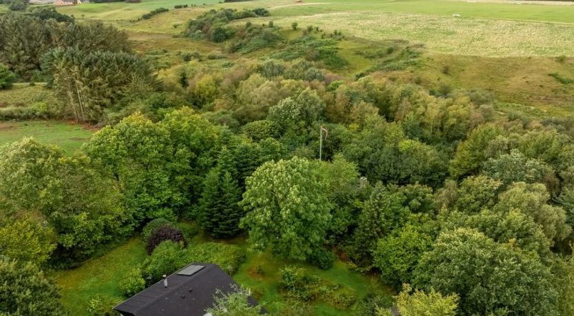 Photo of "Velika" - 300m to the fjord