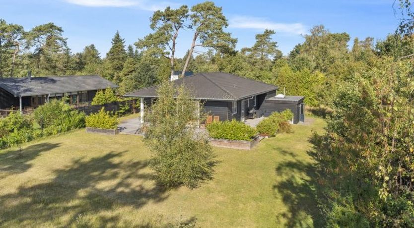 Photo of "Alvia" - 1.6km from the sea