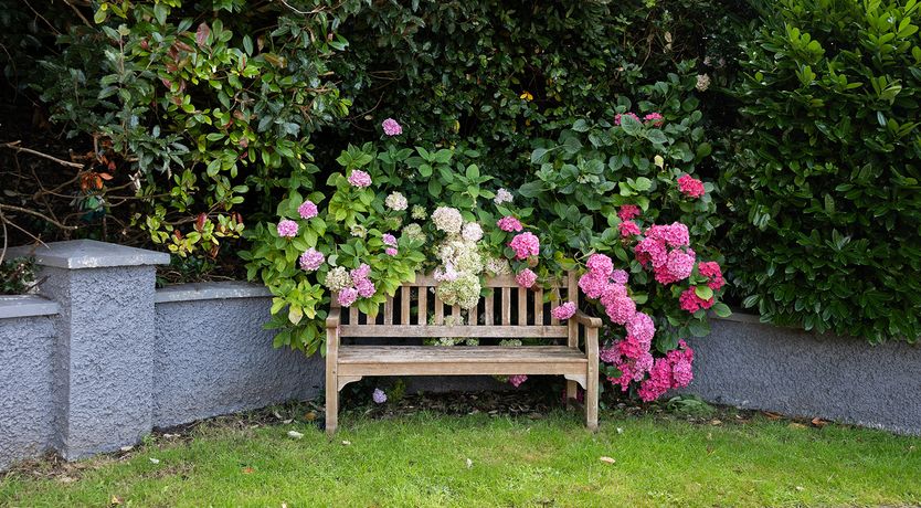 Photo of 'Ripponlea' Inistioge stunning