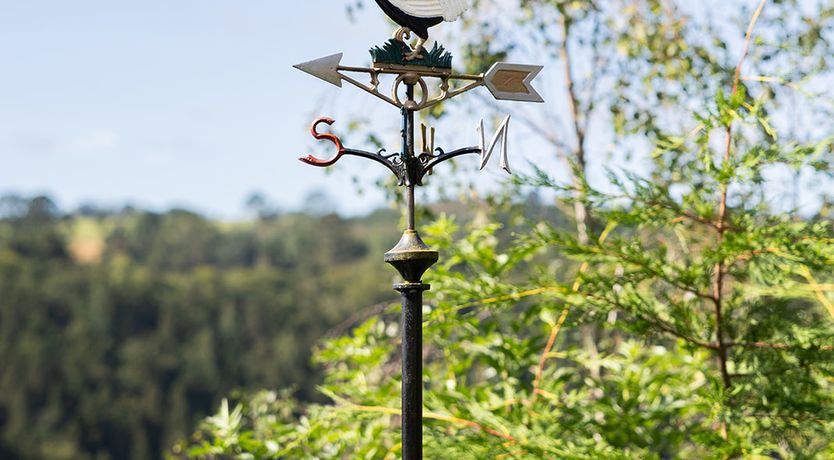 Photo of 'Ripponlea' Inistioge stunning