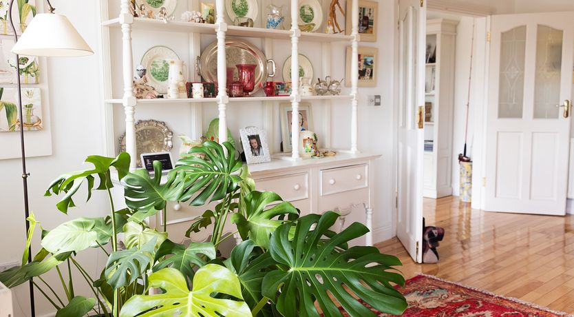 Photo of 'Ripponlea' Inistioge stunning