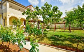 Photo of Marija Apartment 2