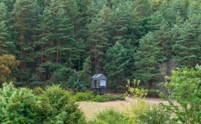 Photo of Glamping Sokolka