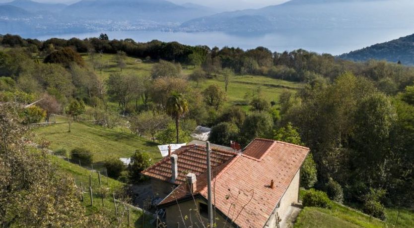 Photo of La Primavera