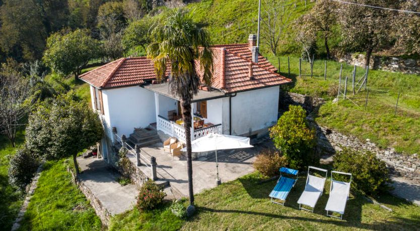 Photo of La Primavera