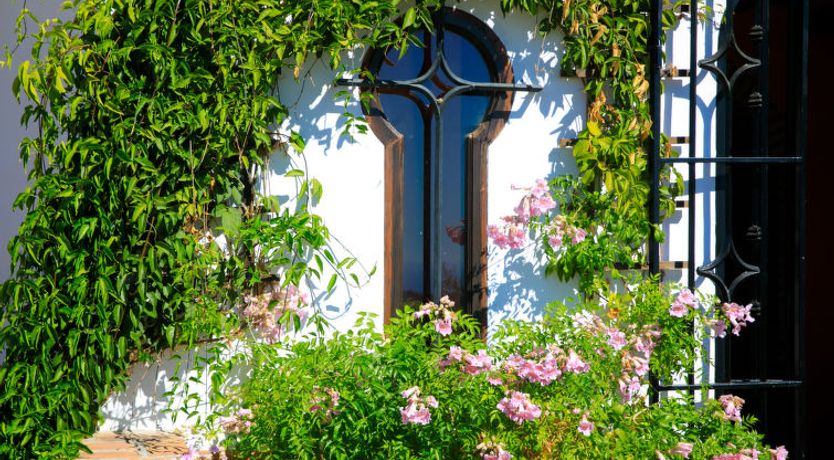 Photo of El Comendador