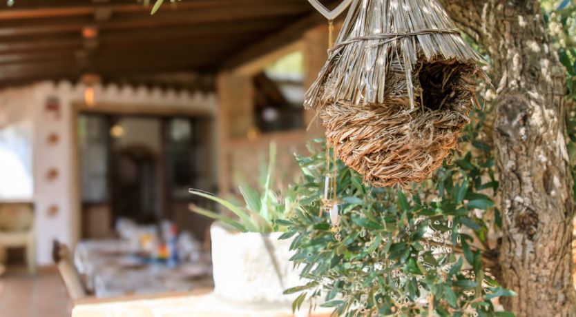 Photo of El Comendador