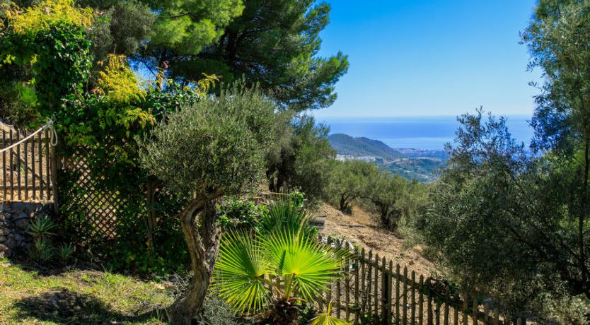 Photo of El Comendador