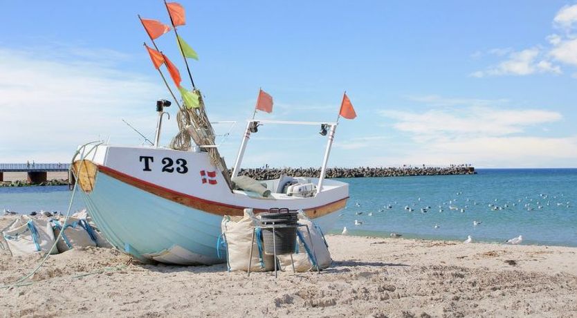 Photo of "Gisa" - 500m from the sea