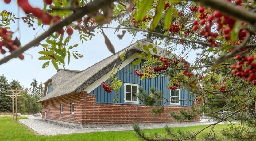 Photo of "Alvina" - 3.2km from the sea