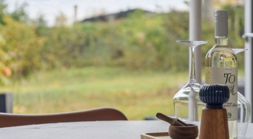 Photo of "Gun" - 300m to the fjord