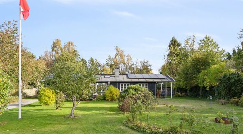 Photo of "Domi" - 1.3km from the sea