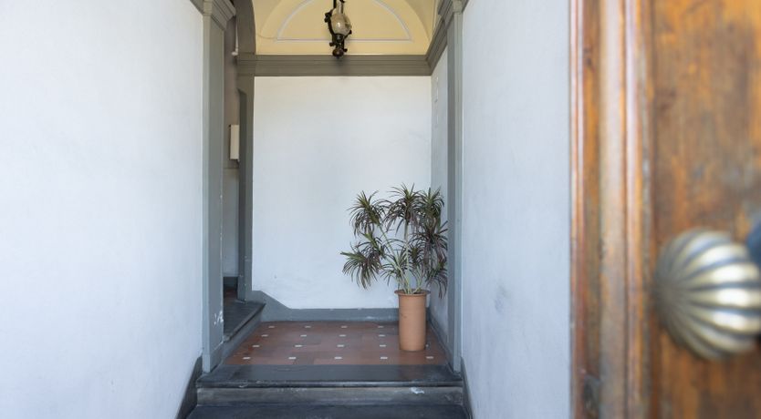 Photo of Firenze Aurora