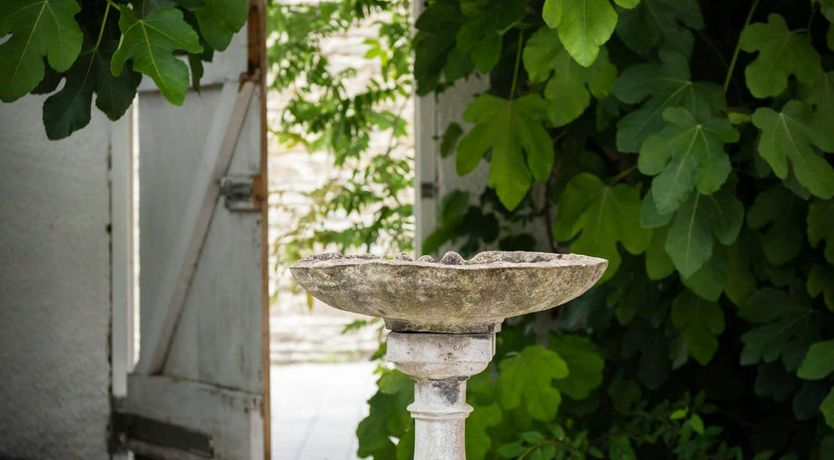 Photo of The Ambassador's Retreat