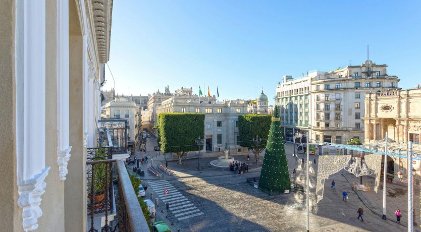 Photo of Seville Oranges