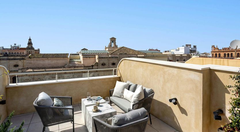 Photo of Seville Oranges