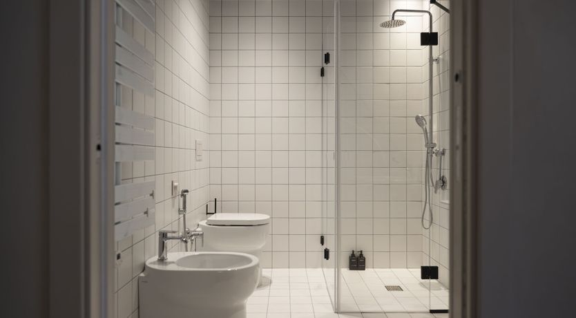 Photo of The Ancient Olive