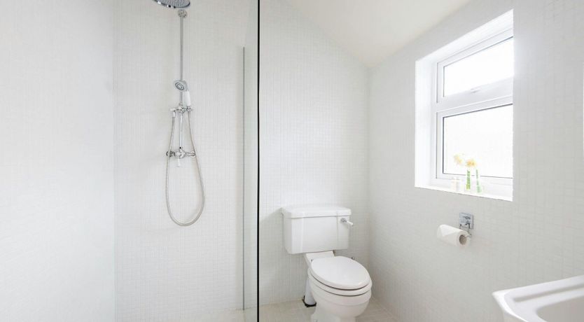 Photo of The Little Fisherman