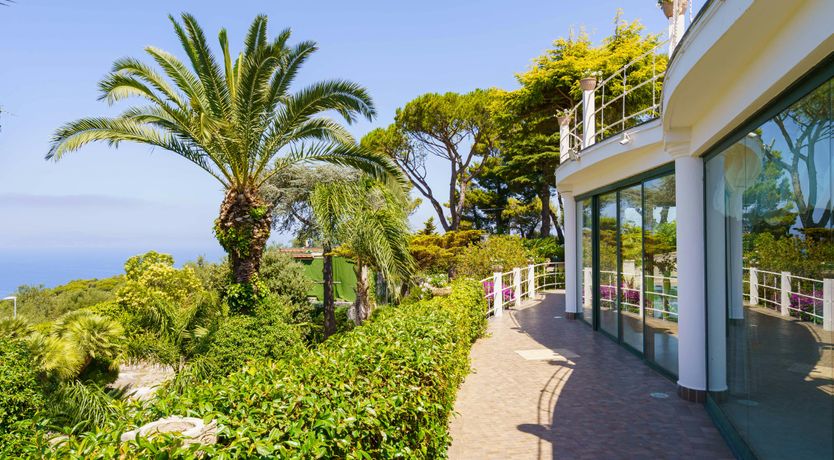 Photo of Azure Wonder