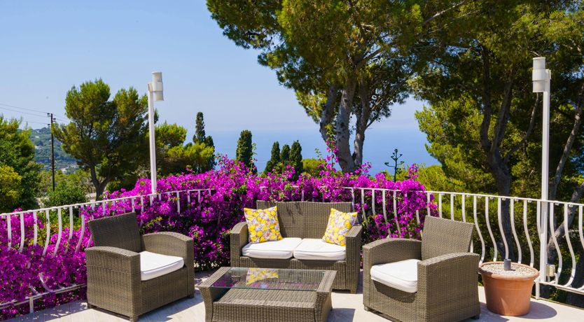 Photo of Azure Wonder