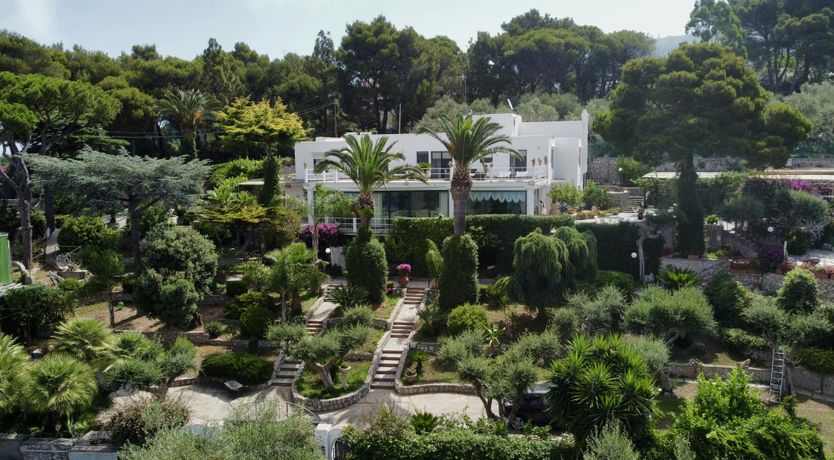 Photo of Azure Wonder